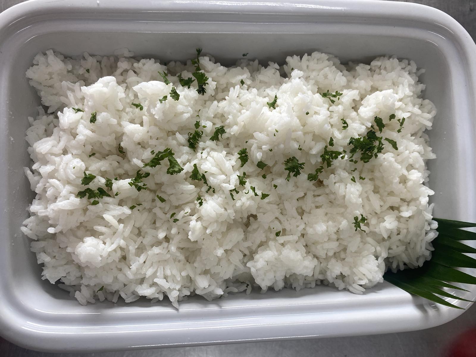 Packed Meal 16