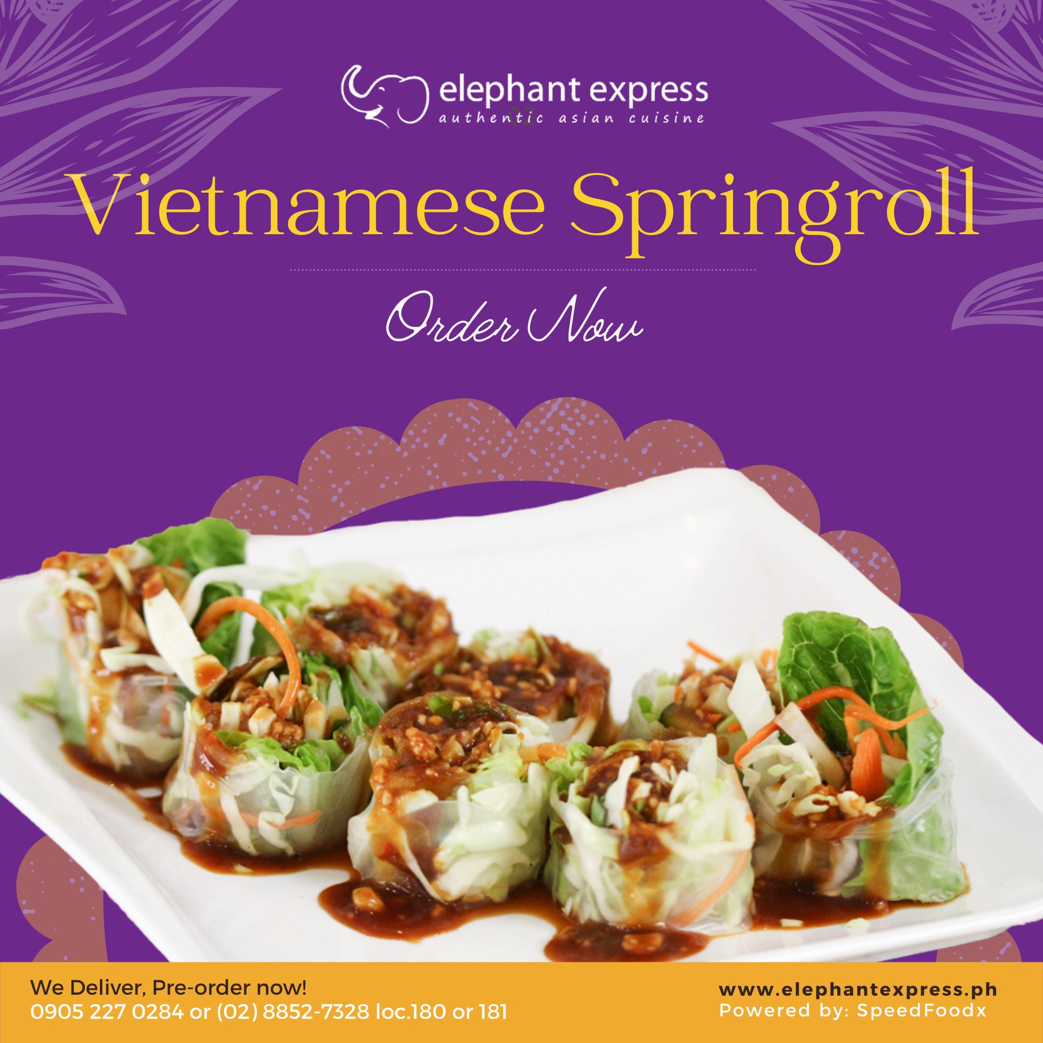 Vietnamese Spring Roll